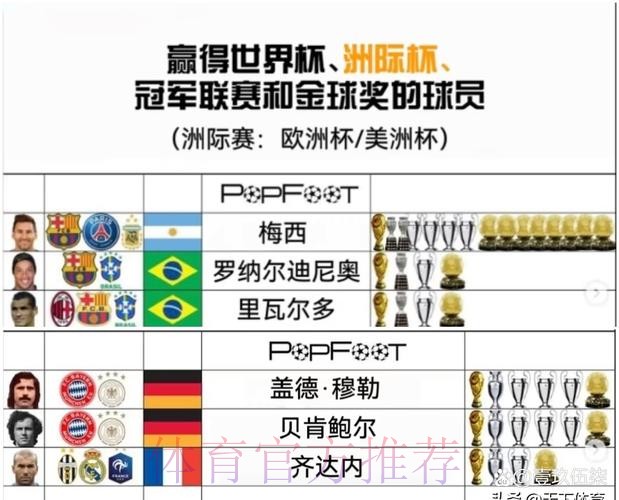 世界杯球队名单分析